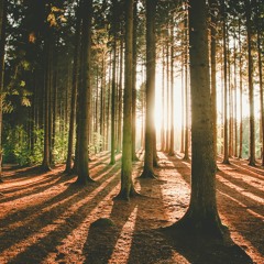 eclectics mix -  074 |  Kris Pelkonen |