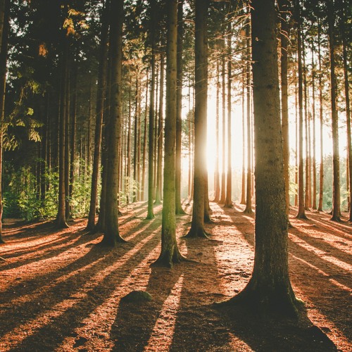 eclectics mix -  074 |  Kris Pelkonen |