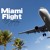 Artwork for Miami Flight