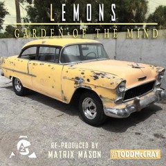 Todd McCray - Lemons