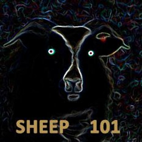zarf - sheep 101
