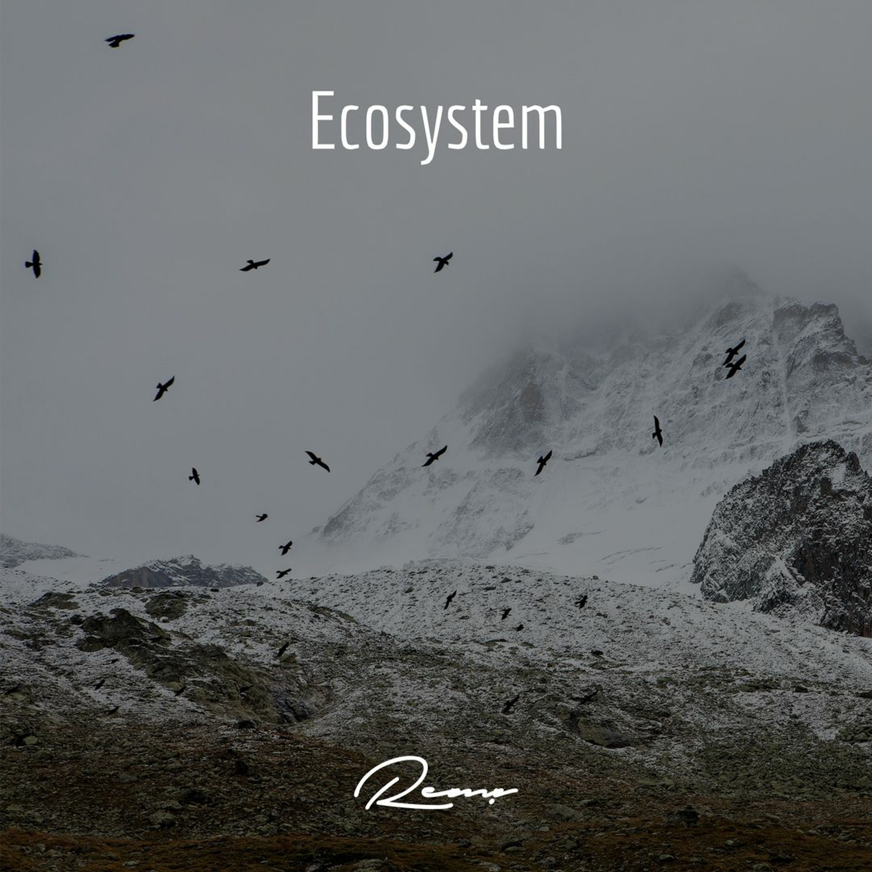 Ecosystem episode artwork