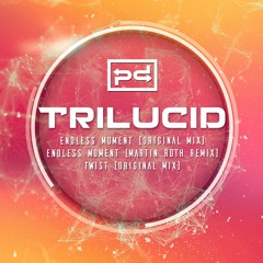 Trilucid - Endless Moment (Martin Roth Remix) [Perspectives Digital]