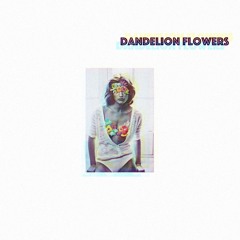 Dandelion Flowers