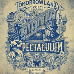 Alison Wonderland Live at Tomorrowland 2017
