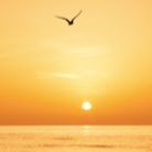 Fly Away