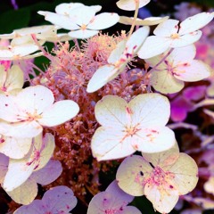 Moments (ft. Kid Earth)