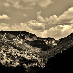 Whatever the cost,  live your life