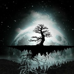 LOCO PONE @ NIGHT2DARK PSY