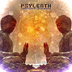 09 - JaraLuca, Ohm Mind - The Synthesis (JaraLuca Version )