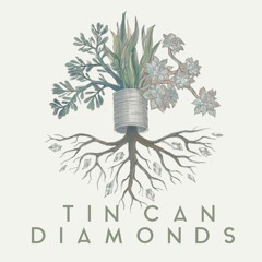 Tin Can Diamonds // Nice Someone