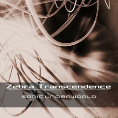 Replicants Cant Make Wishes - Product Demo Zebra Transcendence