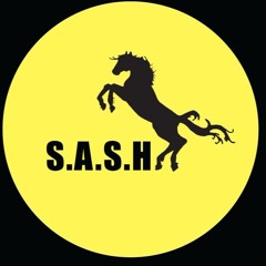 Cosmo Jones Live at S*A*S*H 23.7.17