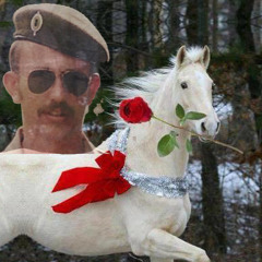 Footprints In The Sand - Pegadas na Areia - Mary Stevenson - S M Blount - PU1JFC - White Knight