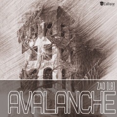 PREMIERE : Zad - Avalanche (Original Mix)[Adro//Callote]