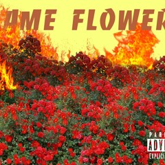 Flame Flowers