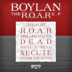 Rotpot 003 : Boylan - Driller Killer
