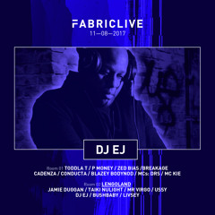 DJ EJ FABRICLIVE x Lengoland Minimix