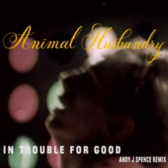 Download: Animal Husbandry 'In Trouble For Good' (Andy J Spence Remix)