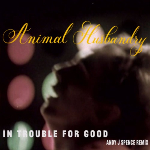Download: Animal Husbandry 'In Trouble For Good' (Andy J Spence Remix)