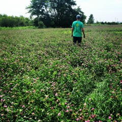 Woody Guthrie - This Land is Your Land