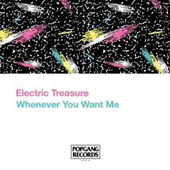 Electric Treasure - Whenever You Want Me (Original Mix)