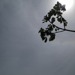 Still In Me / G major