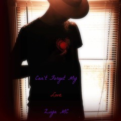 Can't Forget My Love