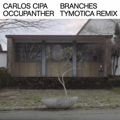 Carlos Cipa & Occupanther - Branches (Original Mix)