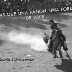 Chinchinacas 'eh De Cojer El Camino Antes Que Salga La Luna'