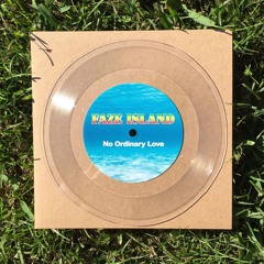 No Ordinary Love