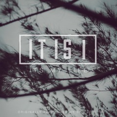 Bon Jovi - It's My Life (IT IS I Cover)