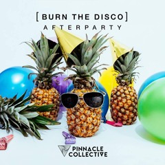 BURN THE DISCO - Afterparty