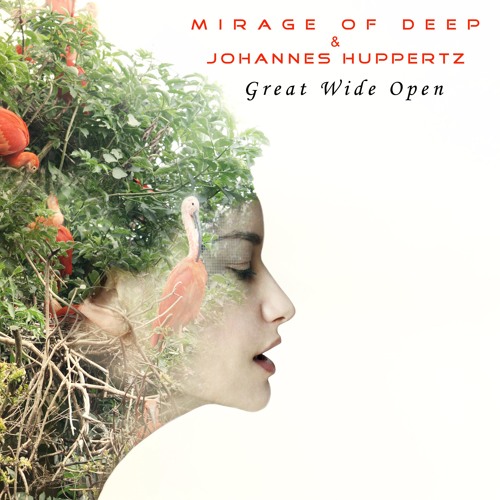 Mirage Of Deep & Johannes Huppertz:  Feat  Gushi. Selflove
