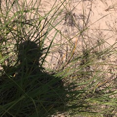 Lack of David-converted