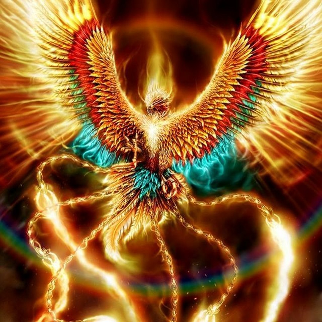 絵画「Fênix」 fenix in japan - Google Search