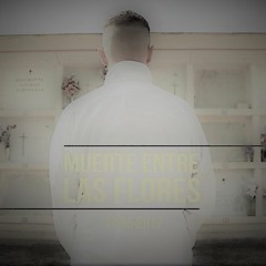 Mi.Amargo - Birds ( Lofi Rmx )