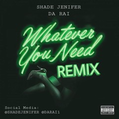 Whatever You Need - Meek Mill ft. Chris brown (Shade Jenifer Remix)
