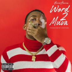 Word 2 Muva (Prod By. Icestarr)