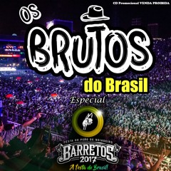 É BARRETÃO 2017 - CD OS BRUTOS DO BRASIL 2017 (SET SERTANEJO)