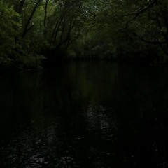 Ambient July 30 Song 4 Stu