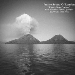 FREE DOWNLOAD: Future Sound Of London - Papua New Guinea {Nick Robson's Golden Age Remix}