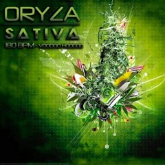 Heilwid - Sativa (180)