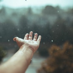 Ed Sheeran - Photograph (Cover ft. Neni)