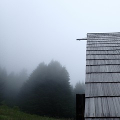 Little phone dittytit