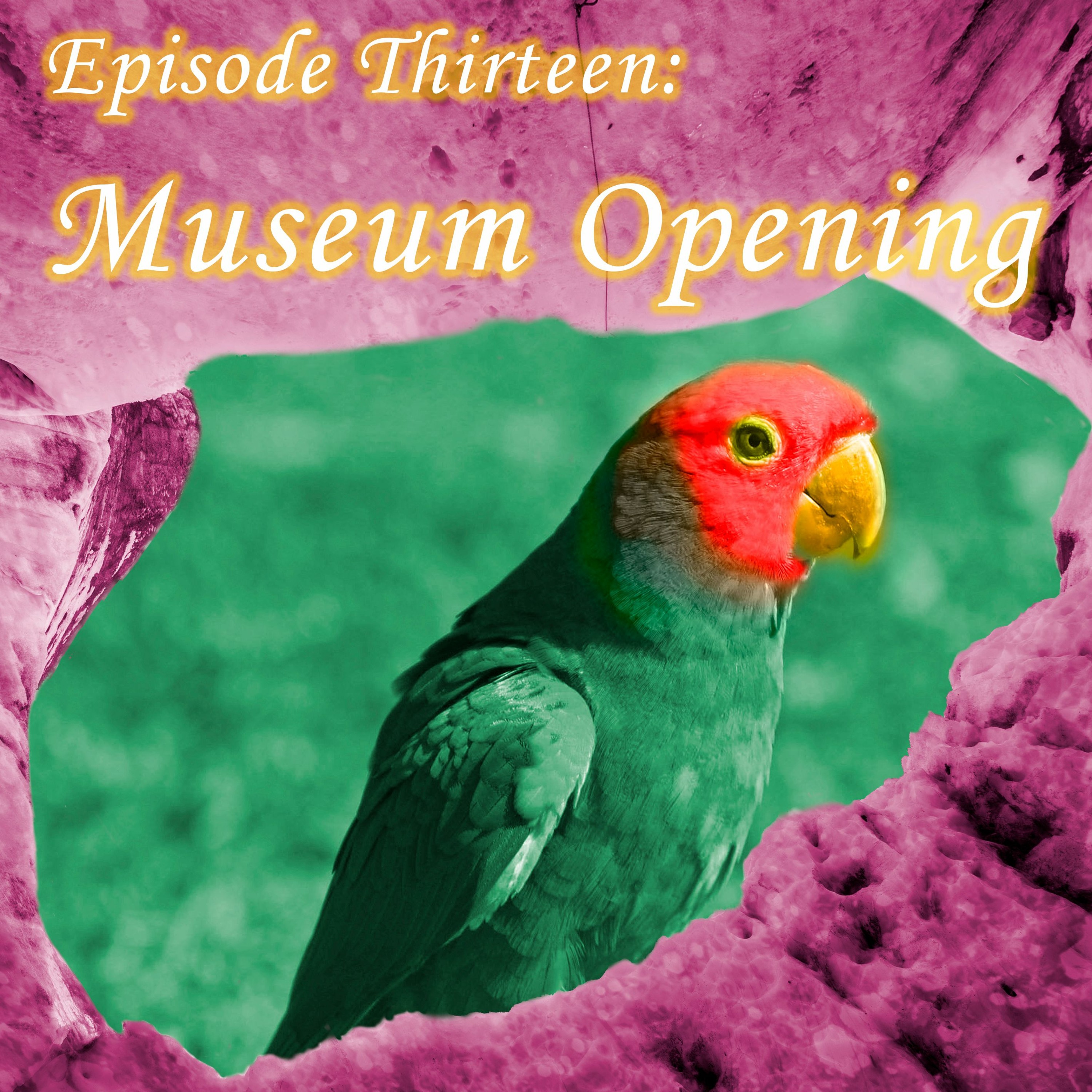 13 - Museum Opening episode artwork