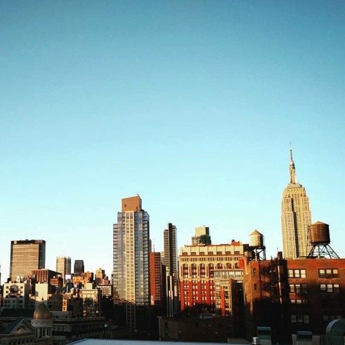 Save the Animals Together