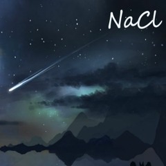 [Dynamix 2017]NaCl