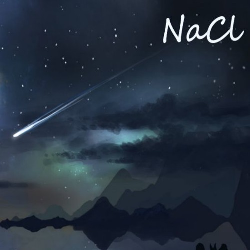 [Dynamix 2017]NaCl