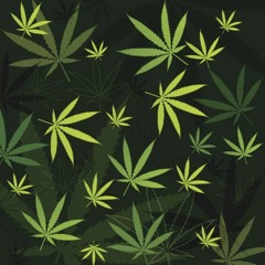 Sativa